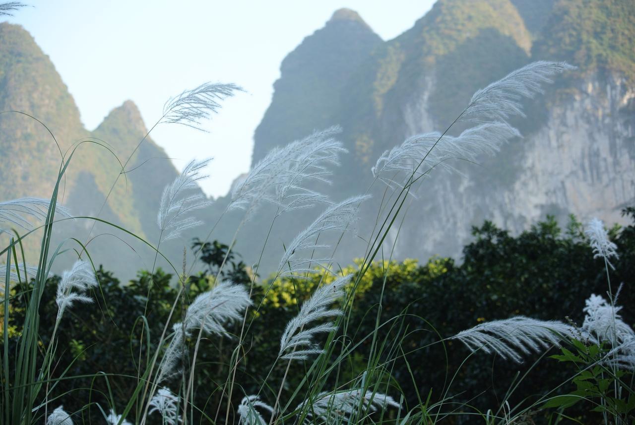 Nirvana Organic Farm Inn Yangshuo Dış mekan fotoğraf