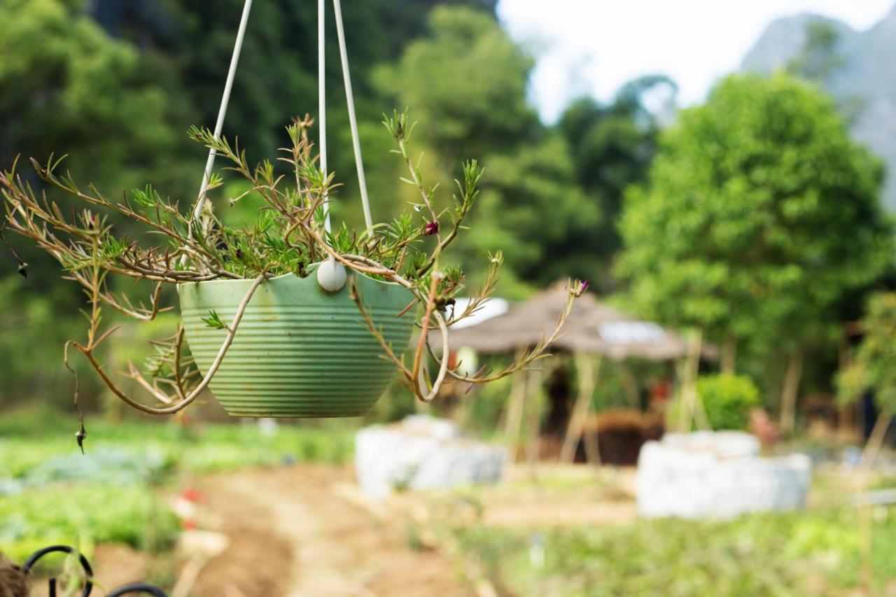 Nirvana Organic Farm Inn Yangshuo Dış mekan fotoğraf