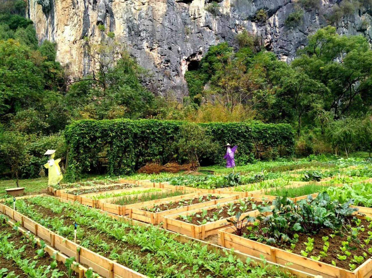 Nirvana Organic Farm Inn Yangshuo Dış mekan fotoğraf