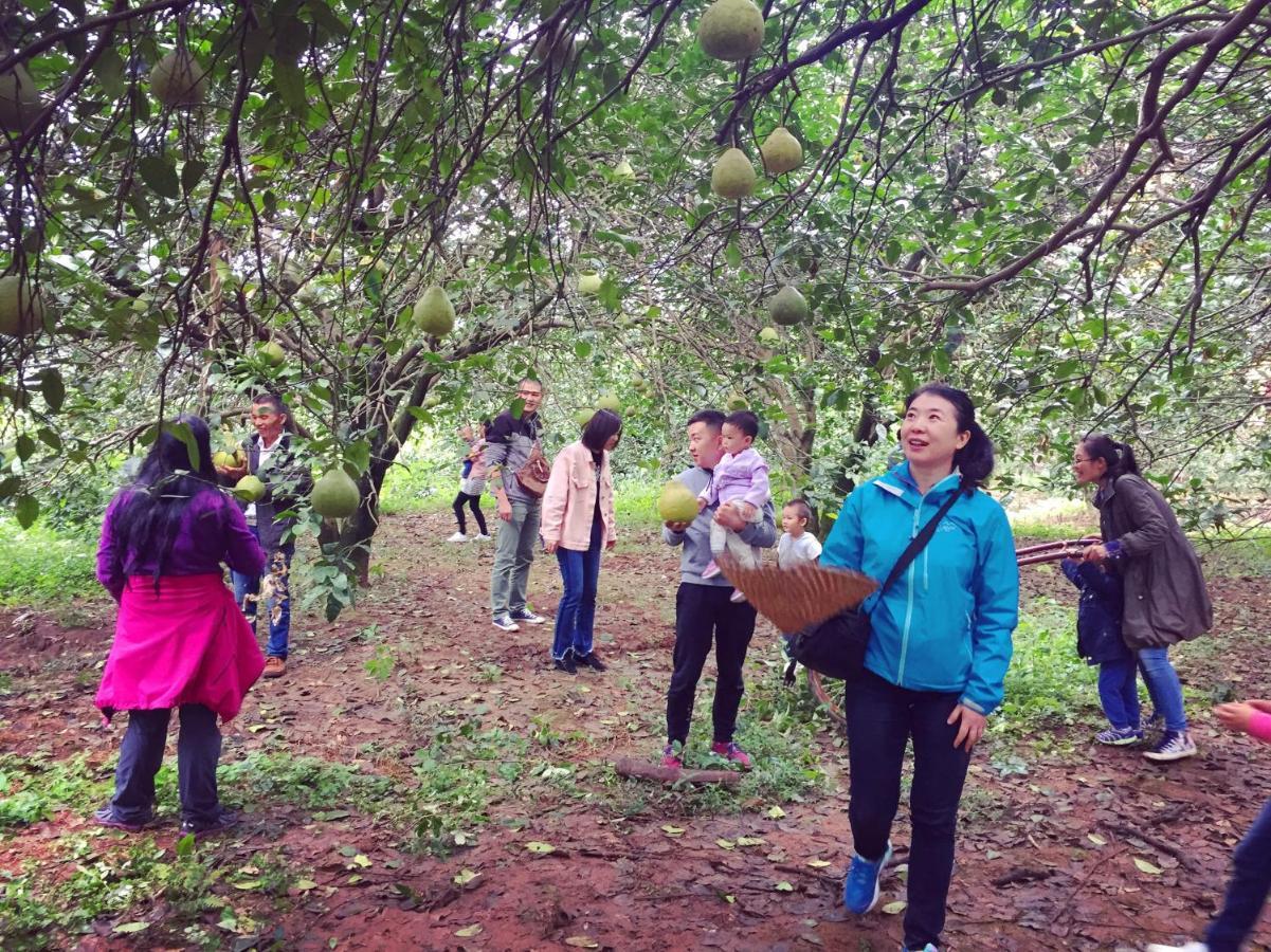 Nirvana Organic Farm Inn Yangshuo Dış mekan fotoğraf